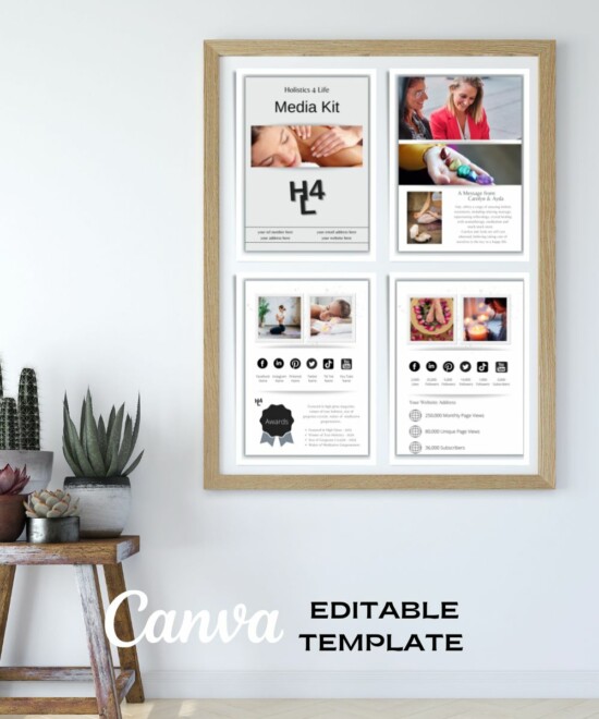 Media Kit - Holistics (Canva Template) - Image 3